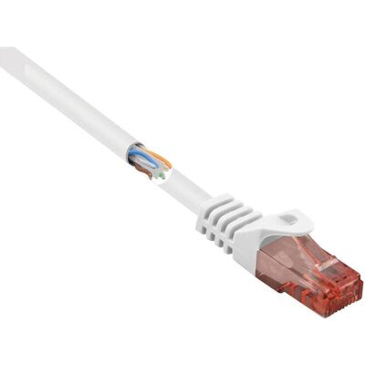 Renkforce RF-5043892 Câble réseau RJ45, câble patch CAT 6 U/UTP 0,15 m blanc avec (U/UTP, CAT6, 0.15 m), Câble réseau - Publicité Renkforce RF-5043892 Câble réseau RJ45, câble patch CAT 6 U/UTP 0,15 m blanc avec (U/UTP, CAT6, 0.15 m), Câble réseau - Publicité