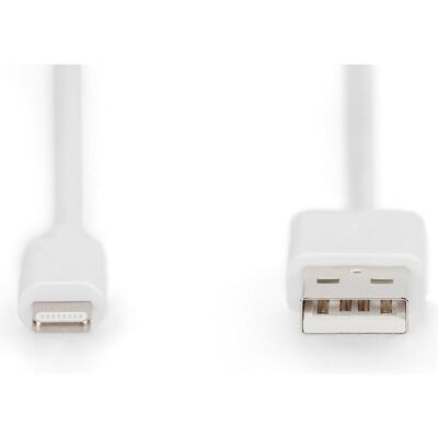 Digitus Câble de données/charge Lightning vers USB A, certifié MFI (2 m, USB 2.0, 12 W), Câble USB - Publicité Digitus Câble de données/charge Lightning vers USB A, certifié MFI (2 m, USB 2.0, 12 W), Câble USB - Publicité