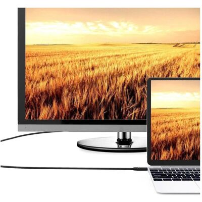 EFB Elektronik HDMI (type A) - HDMI (type A) (1 m), Câble vidéo, Noir - Publicité EFB Elektronik HDMI (type A) - HDMI (type A) (1 m), Câble vidéo, Noir - Publicité