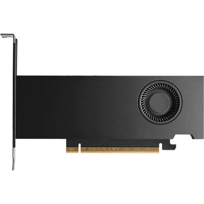 Dell NVIDIA RTX PRO 2000 Blackwell Workstation Edition 16GB GDDR7 half height PCIe 5.0x8 4 mDP (16 Go, GDDR7), Carte graphique, Noir - Publicité Dell NVIDIA RTX PRO 2000 Blackwell Workstation Edition 16GB GDDR7 half height PCIe 5.0x8 4 mDP (16 Go, GDDR7), Carte graphique, Noir - Publicité