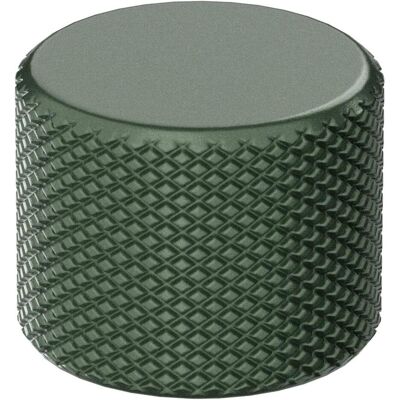 Glorious GMMK 3 Rotary Knob, Sage Green, Souris + clavier : accessoires, Vert - Publicité Glorious GMMK 3 Rotary Knob, Sage Green, Souris + clavier : accessoires, Vert - Publicité