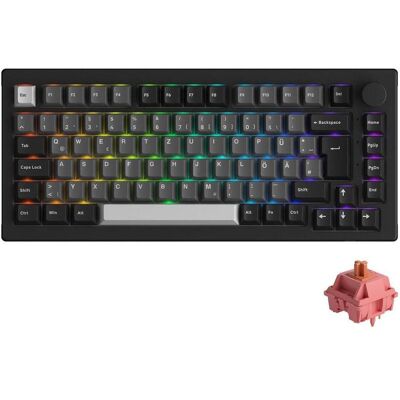 Akko 5075B Gaming Tastatur, RGB - Rosewood Switches, ISO DE/UK/Nordic, schwarz & silber (DE, Filaire, Sans fil), Clavier, Noir, Argent - Publicité Akko 5075B Gaming Tastatur, RGB - Rosewood Switches, ISO DE/UK/Nordic, schwarz & silber (DE, Filaire, Sans fil), Clavier, Noir, Argent - Publicité