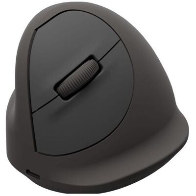Fellowes Breyta Plus+ Ergonomic Mouse Large Left (Filaire, Sans fil), Souris, Noir - Publicité Fellowes Breyta Plus+ Ergonomic Mouse Large Left (Filaire, Sans fil), Souris, Noir - Publicité