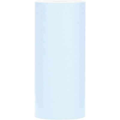 Redleaf PicMe, Rouleau de papier thermique, Papier thermique - 4,70 m, bleu 10 pcs. Publicité Redleaf PicMe, Rouleau de papier thermique, Papier thermique - 4,70 m, bleu 10 pcs. Publicité