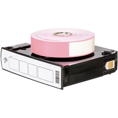 Zebra Bracelet Polypropylène 1 x 11 pouces (25 4 x 279 4 mm) Thermique direct Z-Band Direct Adhésif, Armoire serveur : accessoires, Pink, Blanc - Publicité Zebra Bracelet Polypropylène 1 x 11 pouces (25 4 x 279 4 mm) Thermique direct Z-Band Direct Adhésif, Armoire serveur : accessoires, Pink, Blanc - Publicité