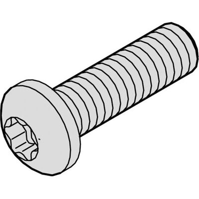 Matériel de Montage nVent SCHROFF 19 pouces - 100 Vis Torx M2.5x8mm - Publicité Matériel de Montage nVent SCHROFF 19 pouces - 100 Vis Torx M2.5x8mm - Publicité