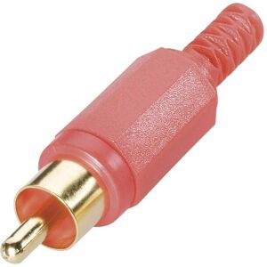 BKL Electronic Cinch/RCA mâle, Connecteur audio, Rouge - Publicité BKL Electronic Cinch/RCA mâle, Connecteur audio, Rouge - Publicité