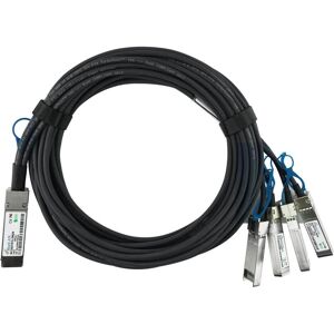 BlueLAN Pure Storage QSFP28-4SFP28-DAC-2M compatible QSFP28 DAC SC282701L2M26, Émetteur-récepteur, Noir - Publicité BlueLAN Pure Storage QSFP28-4SFP28-DAC-2M compatible QSFP28 DAC SC282701L2M26, Émetteur-récepteur, Noir - Publicité