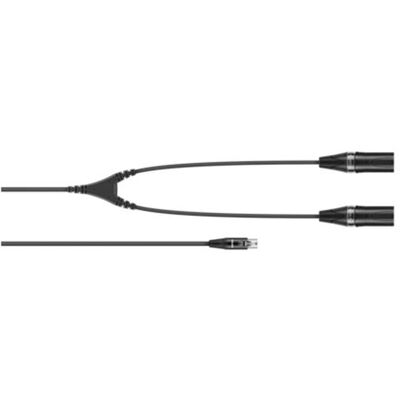 Sennheiser CA 6042 XLR (Câbles XLR), Câble audio - Publicité Sennheiser CA 6042 XLR (Câbles XLR), Câble audio - Publicité