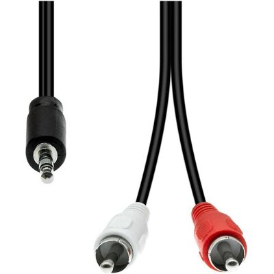 ProXtend Mini-Jack 3 broches vers 2 x RCA Cable M-M Black 1.5M (1.50 m, Câbles Cinch), Câble audio - Publicité ProXtend Mini-Jack 3 broches vers 2 x RCA Cable M-M Black 1.5M (1.50 m, Câbles Cinch), Câble audio - Publicité