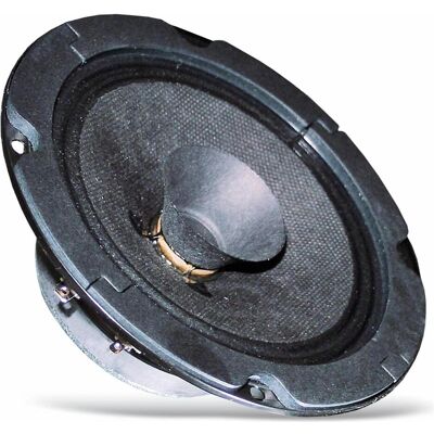 Visaton Haut-parleur à large bande BG 13 P,8 Ohm, Composants du haut-parleur, Noir - Publicité Visaton Haut-parleur à large bande BG 13 P,8 Ohm, Composants du haut-parleur, Noir - Publicité