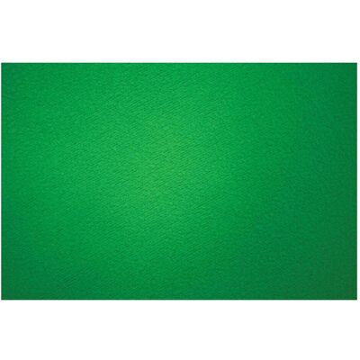 Westcott - Green Screen - 300x270 cm - Vert - Arrière-plan - Publicité Westcott - Green Screen - 300x270 cm - Vert - Arrière-plan - Publicité