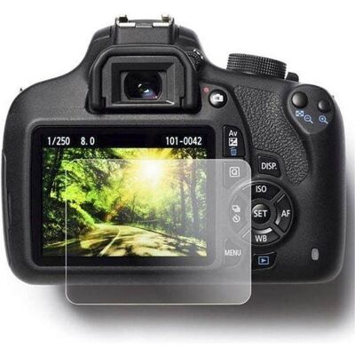 Écran LCD Ggs Larmor pour Canon R10 - Accessoire d'Appareil Photo - Publicité Écran LCD Ggs Larmor pour Canon R10 - Accessoire d'Appareil Photo - Publicité