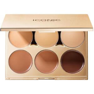 Iconic London, Highlighter + autobronzant, Palette de contour sculptant multi-usages (Contour, Highlighter) - Publicité Iconic London, Highlighter + autobronzant, Palette de contour sculptant multi-usages (Contour, Highlighter) - Publicité