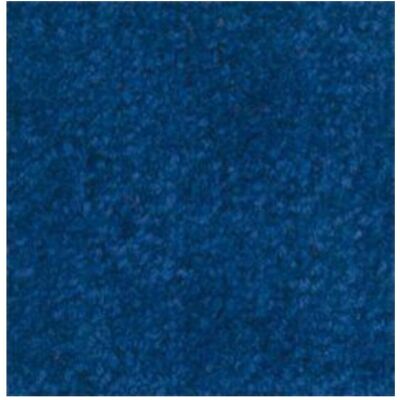 Tapis intérieur KaiserKraft - Surface en fibres de polypropylène - 7mm - Bleu - Publicité Tapis intérieur KaiserKraft - Surface en fibres de polypropylène - 7mm - Bleu - Publicité