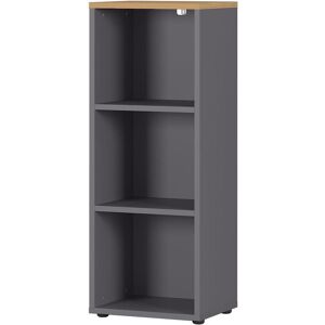 Germania, Armoire de bureau, Agenda (45 x 40 x 120 cm) - Publicité Germania, Armoire de bureau, Agenda (45 x 40 x 120 cm) - Publicité