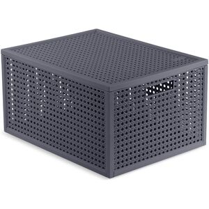 Curver Boîte de rangement, KAYA AufbewahrungsboxM20l grbl (29.60 cm, 20 l) - Publicité Curver Boîte de rangement, KAYA AufbewahrungsboxM20l grbl (29.60 cm, 20 l) - Publicité
