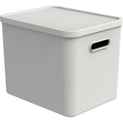 Rotho, Boîte de rangement, Multibox 27 l, C4 ALBULA Mistletoe white (27 l) - Publicité Rotho, Boîte de rangement, Multibox 27 l, C4 ALBULA Mistletoe white (27 l) - Publicité