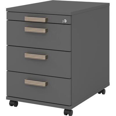 HAMMERBACHER Solid AC30 Caisson roulant - 4 tiroirs, Graphite, 42.8x58x59cm - Mobilier de bureau - Publicité HAMMERBACHER Solid AC30 Caisson roulant - 4 tiroirs, Graphite, 42.8x58x59cm - Mobilier de bureau - Publicité