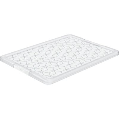 Rotho, Boîte de rangement, Couvercle pour Evo Easy (59.30 cm, 1x) - Publicité Rotho, Boîte de rangement, Couvercle pour Evo Easy (59.30 cm, 1x) - Publicité