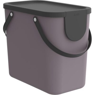 Rotho, Boîte de rangement, Albula (40 cm, 25 l, 1x) - Publicité Rotho, Boîte de rangement, Albula (40 cm, 25 l, 1x) - Publicité