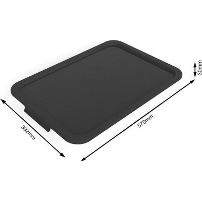 Rotho, Boîte de rangement, Albris (39 cm) - Publicité Rotho, Boîte de rangement, Albris (39 cm) - Publicité