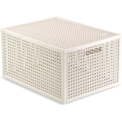 Curver Boîte de rangement, KAYA Aufbewahrungsbox M 20l ws (29.60 cm, 20 l) - Publicité Curver Boîte de rangement, KAYA Aufbewahrungsbox M 20l ws (29.60 cm, 20 l) - Publicité