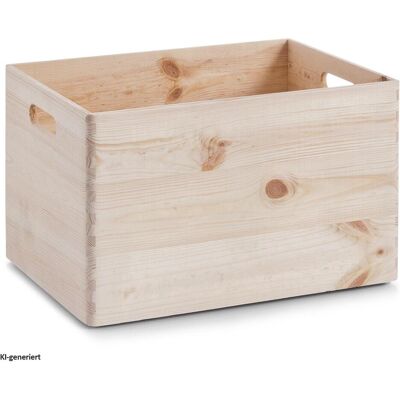 Zeller Present - Aufbewahrungsbox - 40 x 30 x 24 cm - Publicité Zeller Present - Aufbewahrungsbox - 40 x 30 x 24 cm - Publicité
