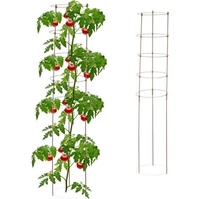 Relaxdays, Plantes : accessoires, 2x support pour plantes grimpantes (30 cm, 30 cm) - Publicité Relaxdays, Plantes : accessoires, 2x support pour plantes grimpantes (30 cm, 30 cm) - Publicité