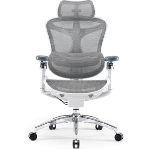 Sihoo, Chaise de bureau, C300 PRO - Publicité Sihoo, Chaise de bureau, C300 PRO - Publicité