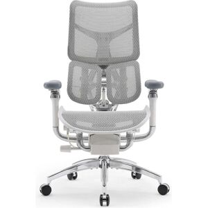 Sihoo, Chaise de bureau, S300 - Publicité Sihoo, Chaise de bureau, S300 - Publicité