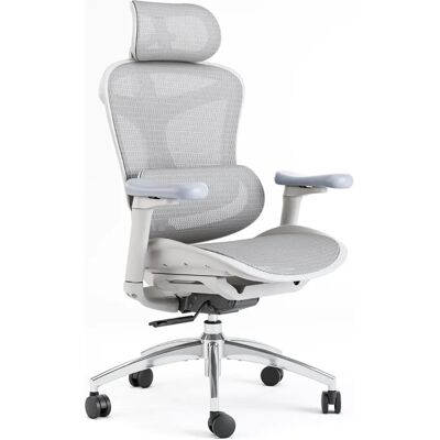 Sihoo, Chaise de bureau, Chaise de bureau - Publicité Sihoo, Chaise de bureau, Chaise de bureau - Publicité