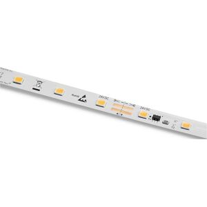 Barthelme Bande LED - 5m, Blanc, Flexible - Ruban LED - Publicité Barthelme Bande LED - 5m, Blanc, Flexible - Ruban LED - Publicité