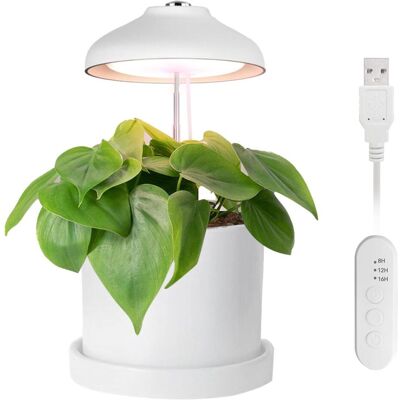 Enne Interior Enne Bijou Grow - Lampe pour Plantes USB 5W Blanche - Publicité Enne Interior Enne Bijou Grow - Lampe pour Plantes USB 5W Blanche - Publicité