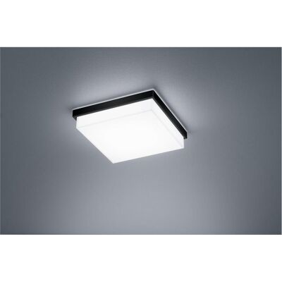Helestra - Cosi - Noir mat - 1020 lm - Luminaire - Publicité Helestra - Cosi - Noir mat - 1020 lm - Luminaire - Publicité