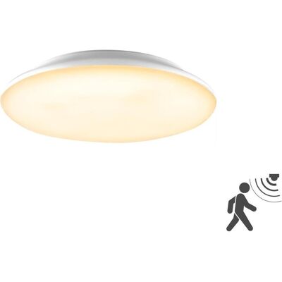 EVN Lichttechnik L30180125BM - Applique LED avec détecteur de mouvement - Publicité EVN Lichttechnik L30180125BM - Applique LED avec détecteur de mouvement - Publicité