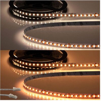Isoled MiniAMP Bande LED 24V CRI92 5m - Bande LED flexible - Publicité Isoled MiniAMP Bande LED 24V CRI92 5m - Bande LED flexible - Publicité