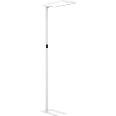 Lampe sur pied LED Dotlux ROOFbutler - Dimmable, Capteur de présence, 8800 lm - Publicité Lampe sur pied LED Dotlux ROOFbutler - Dimmable, Capteur de présence, 8800 lm - Publicité