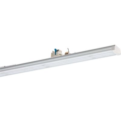 Ridi-Leuchten VLGFP1502-5 Support de Rail LED - Support pour Rail LED - Publicité Ridi-Leuchten VLGFP1502-5 Support de Rail LED - Support pour Rail LED - Publicité