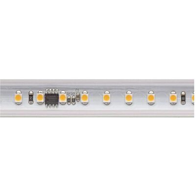 Sigor Modèle 5968301 - Bande LED - 2700K, 8W/m, 50m, IP65 - Publicité Sigor Modèle 5968301 - Bande LED - 2700K, 8W/m, 50m, IP65 - Publicité