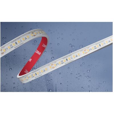 Barthelme Basic Bande LED - 24V/IP67/5m - Intérieur Extérieur - Publicité Barthelme Basic Bande LED - 24V/IP67/5m - Intérieur Extérieur - Publicité
