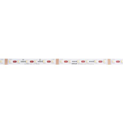 Ruban LED RGBW DOTLUX - 96W 12mm IP20 5m avec câble - Publicité Ruban LED RGBW DOTLUX - 96W 12mm IP20 5m avec câble - Publicité