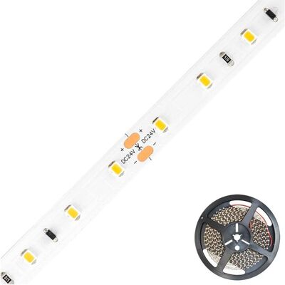 EVN ICSB202430280225M - Bande LED 25m - Intérieur - Blanc - IP20 - Publicité EVN ICSB202430280225M - Bande LED 25m - Intérieur - Blanc - IP20 - Publicité