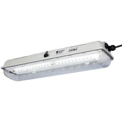 Stahl Projecteur LED - IP66, antidéflagrant, 42W - Publicité Stahl Projecteur LED - IP66, antidéflagrant, 42W - Publicité