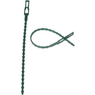 Siena Garden, Plantes : accessoires, Classeur de plantes (17 cm, 0.80 cm) - Publicité Siena Garden, Plantes : accessoires, Classeur de plantes (17 cm, 0.80 cm) - Publicité