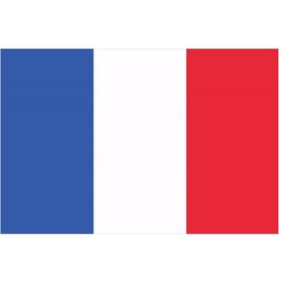 Europalms, Drapeau, drapeau, France, 600x360cm (600 x 360 cm) - Publicité Europalms, Drapeau, drapeau, France, 600x360cm (600 x 360 cm) - Publicité