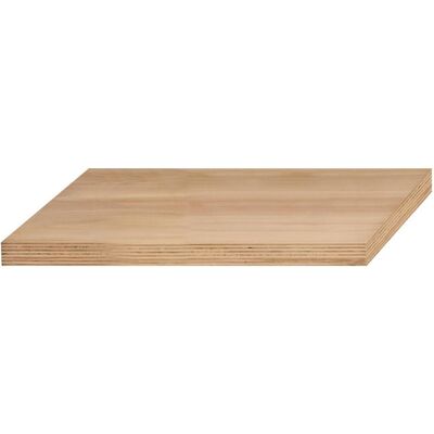 Kraftwerk, Accessoires pour établi, MOBILIO PRO Werkbankplatte Buche-Multiplex, Unterschrank (Bois) - Publicité Kraftwerk, Accessoires pour établi, MOBILIO PRO Werkbankplatte Buche-Multiplex, Unterschrank (Bois) - Publicité