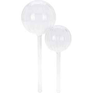 B2X Boules en verre auto-arrosantes - Ensemble de 2, Accessoires pour plantes - Publicité B2X Boules en verre auto-arrosantes - Ensemble de 2, Accessoires pour plantes - Publicité