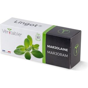 Kit de Semences de Marjolaine Véritable - Herbes Aromatiques - Publicité Kit de Semences de Marjolaine Véritable - Herbes Aromatiques - Publicité