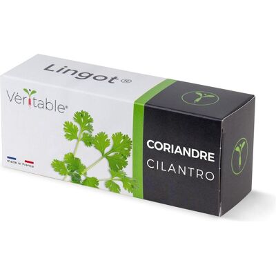 Véritable, Graines, Bio-Koriander (Graines d’herbes aromatiques) - Publicité Véritable, Graines, Bio-Koriander (Graines d’herbes aromatiques) - Publicité